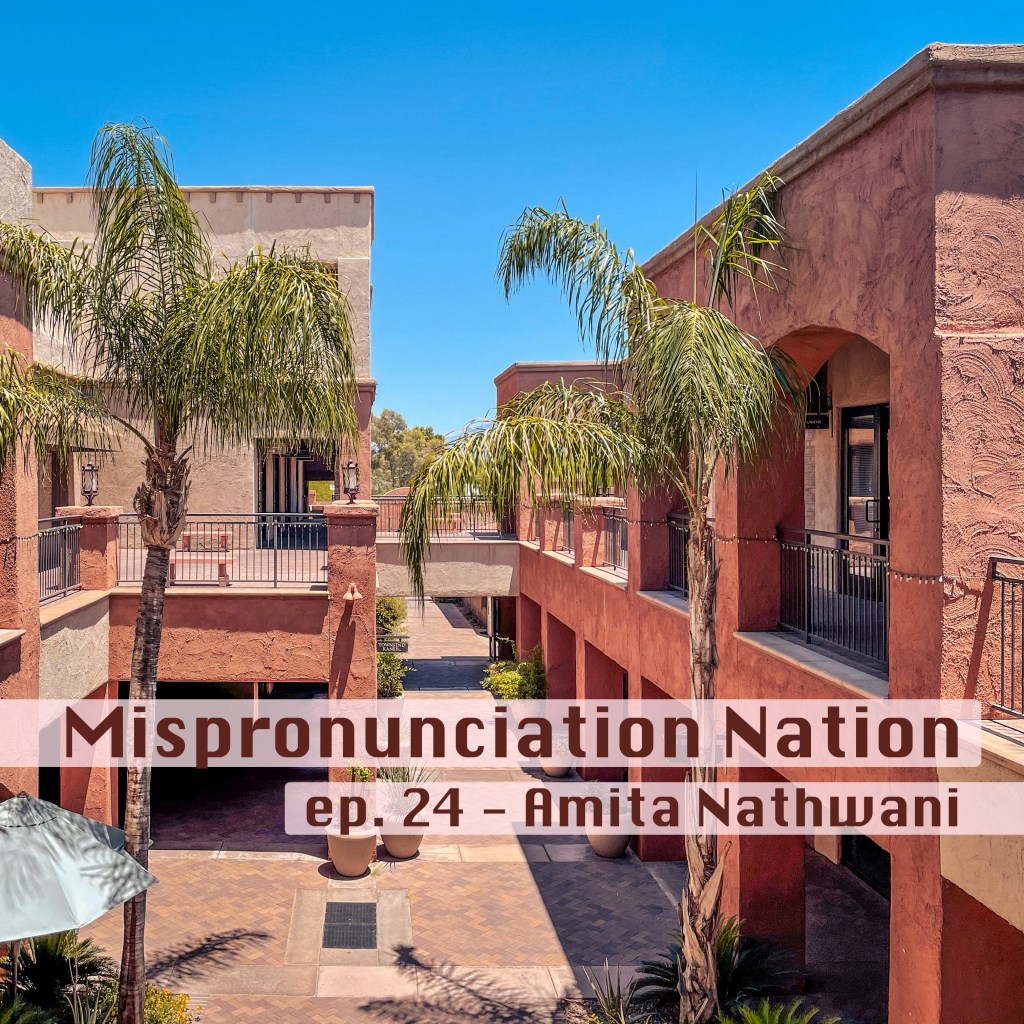 ep. 24 – Amita&nbsp;Nathwani